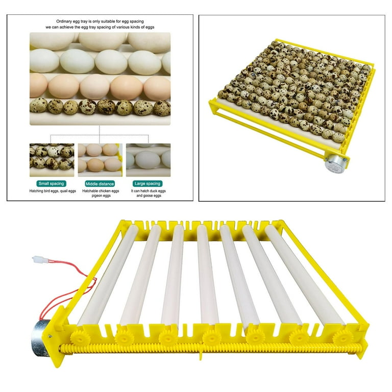 Egg Setter Tray - Quail - 129 Eggs (Plastic - Washing, Sanitizing