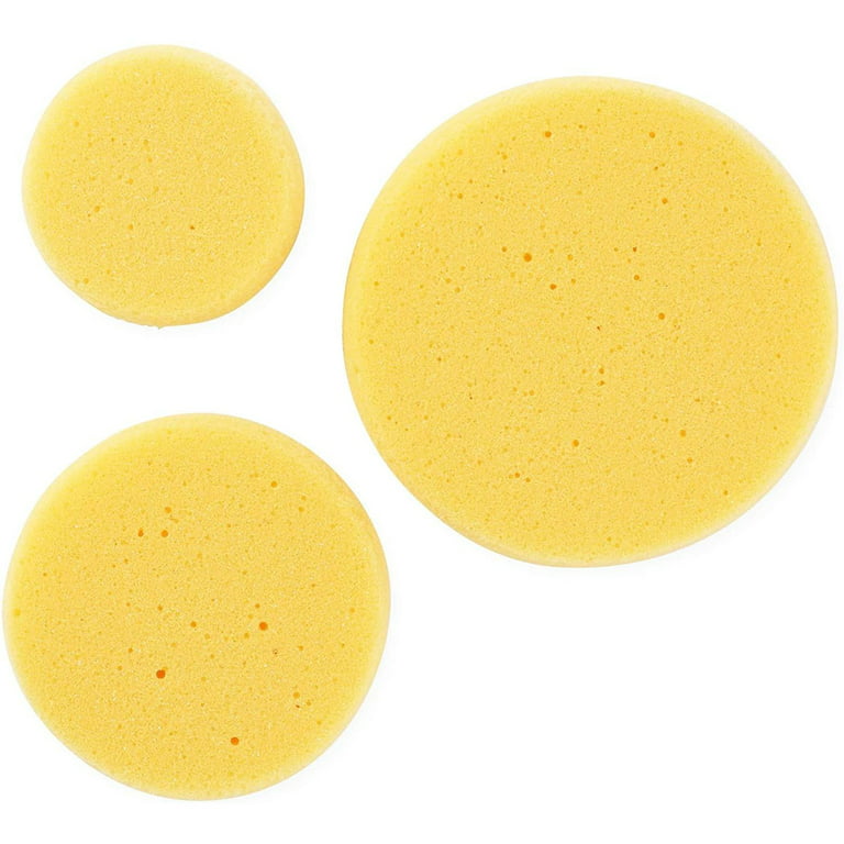 GRAH SANGRAH Products Multi Colour Nylon Plastic Circle Sponge