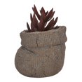 thumbnail image 4 of Maceta Prichos 10.3 cm H Decoración de planta, Varios modelos 1 pieza, 4 of 4