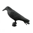 thumbnail image 4 of Simulation Black Crow Decoy Shooting Hunting Decoy Plastic Landscape Garden Decoration Household Supplies, 4 of 9