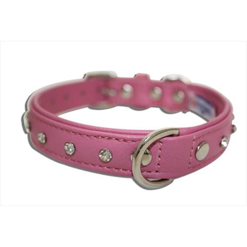 dog collar supplies