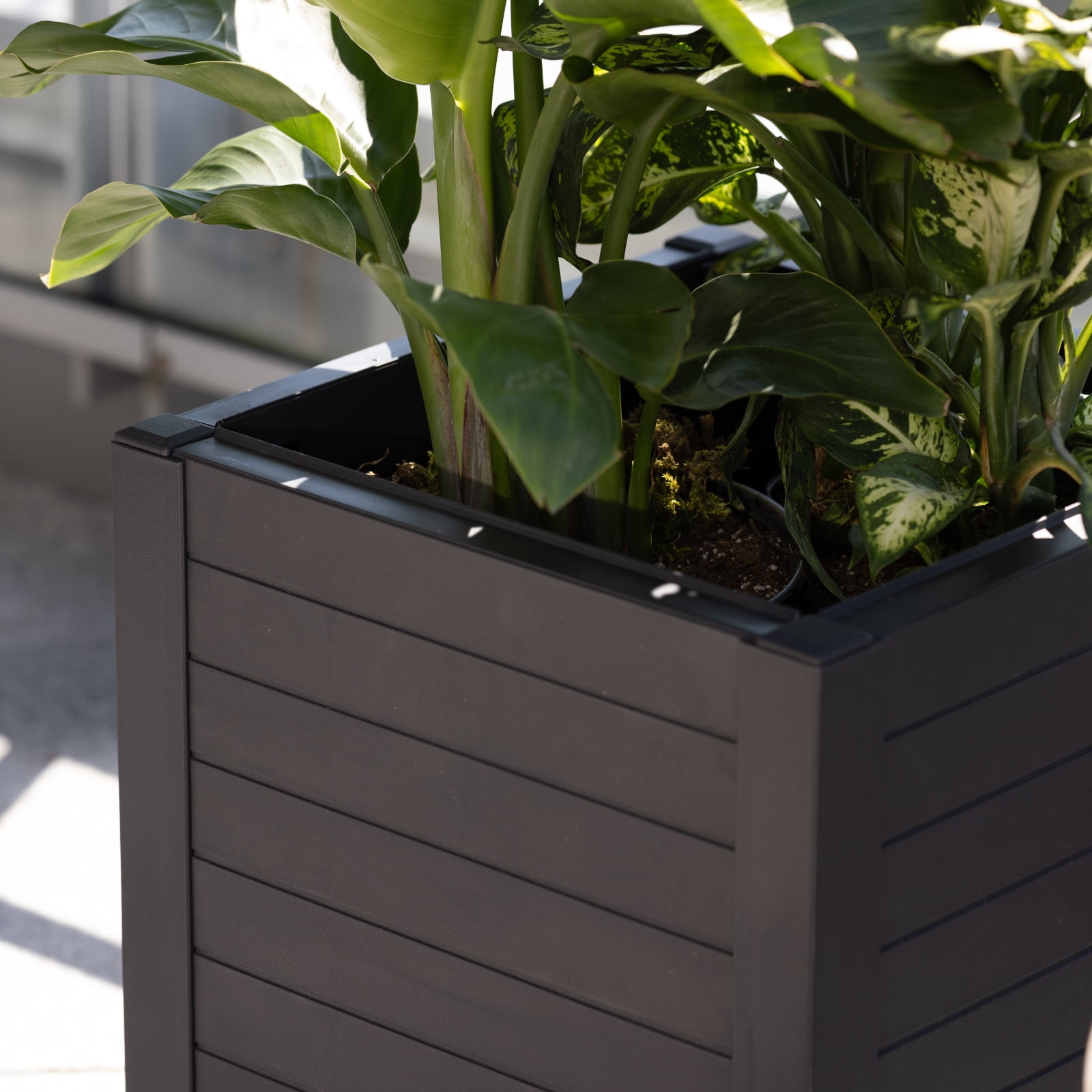 Tierra Verde 17"x17" Flora Cube Planter Black 1PK (4 panels)