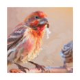 thumbnail image 3 of "The House Finch Home" - Canvas, 3 of 25