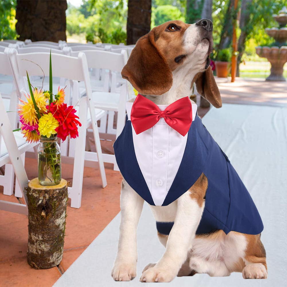 QBLEEV Dog Formal Tuxedo Suit for Medium Large Dogs For Costume Wedding Party Outfit with Detachable Collar Elegant Dog Apparel Bowtie Shirt and Bandana Set for Dress up Cosplay Holiday Wear Walmart.c...