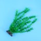 thumbnail image 1 of unbranded Artificiales Para Acuario De Y Salada Con Base Para, 1 of 5