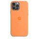 thumbnail image 1 of Funda de silicona para iPhone 13 Pro Max, 1 of 1