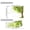 A, variant on Dense Tree Leaf Wall Decal, Nature Style Self Adhesive Sticker, Large Scene Mural for Living Room Wall, Home Indoor and Space Background Decoration
