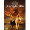 The Young Black Stallion (DVD)