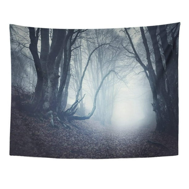 Zealgned Blue Scenery Scary Mysterious Forest In Fog Autumn Magic Trees Nature Misty Landscape Colorful Dark Wall Art Hanging Tapestry Home Decor For Living Room Bedroom Dorm 60x80 Inch Walmart Com