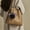 Back, variant on Halloween Plush Bat Keychain,Cute Pom Fuzzy Ornament for Car,Backpack or Purse,Halloween Bat Accessory for Festive Decoration Use