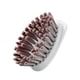 thumbnail image 4 of 3 In 1 Dish Cleaning Brush With Handle, Kitchen Brush, Detergent Storage, 4 of 5