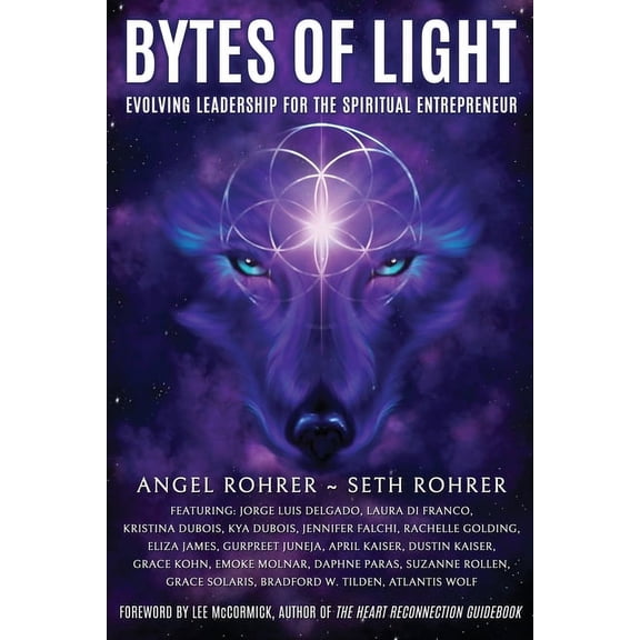 Bytes of Light: Evolving Leadership for the Spiritual Entrepreneur, (Paperback)