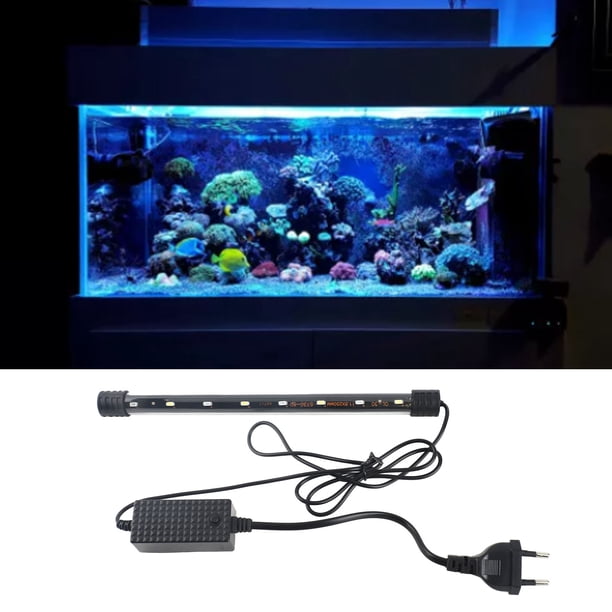 Lámpara LED Para Pecera, Enchufe Europeo De 220 V, Luz Anfibia Para Pecera Subacuática, Hermosa Con Ventosas Para Piscinas Para Peceras