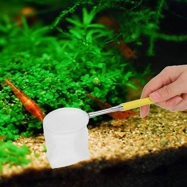 Filet de Pêche à la Crevette en Acier Inoxydable Rétractable, Filet de Capture de Poisson, Plastique pour Poisson Filet Rond Jaune
