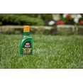 thumbnail image 3 of Ortho WeedClear Weed Killer Concentrate-Fast-Acting, Kills Dandelion, Crabgrass and Clover to The Root, Won't Harm Lawns When Used as Directed, 32 oz, Transparent, 3 of 12