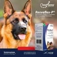thumbnail image 4 of Innopharma Resveflex-P 100 tabs, Condroprotector articular para perros y gatos, 4 of 5