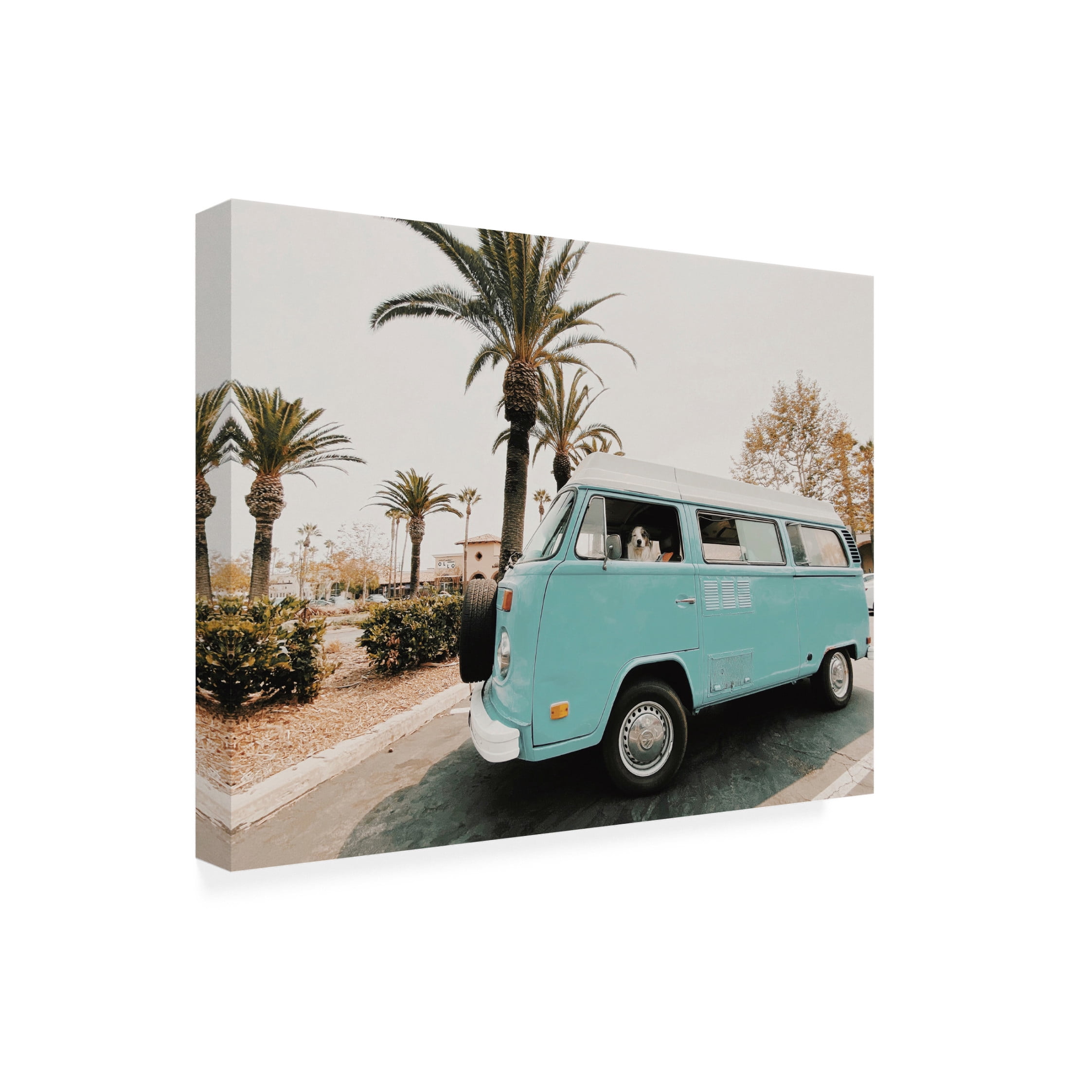 Canvas Wall Art - Krista Broadway 'Nocatee' Wall Art for Living Room, Bedroom, or Office Décor by Trademark Fine Art - 24 x 18 Inches