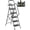 Black, variant on JOZ 5-Step Ladder, 800lbs Portable Folding Ladders for Home, with Handrails and Tool Tray and Anti-Slip Pedal, Black