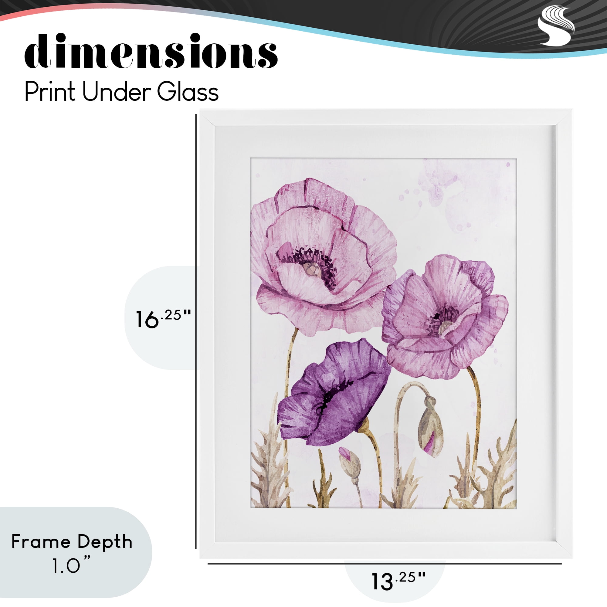 Stupell Industries Bright Purple Poppies White Framed Print Under Glass, design by Kim Allen