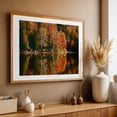 thumbnail image 5 of Autumn Color on Tupper Lake 01 - Tupper Lake New York Photography Autumn Nature Forest Landscape Scenic Woodland Unframed Wall Art Print 24 x 36 inches, 5 of 7