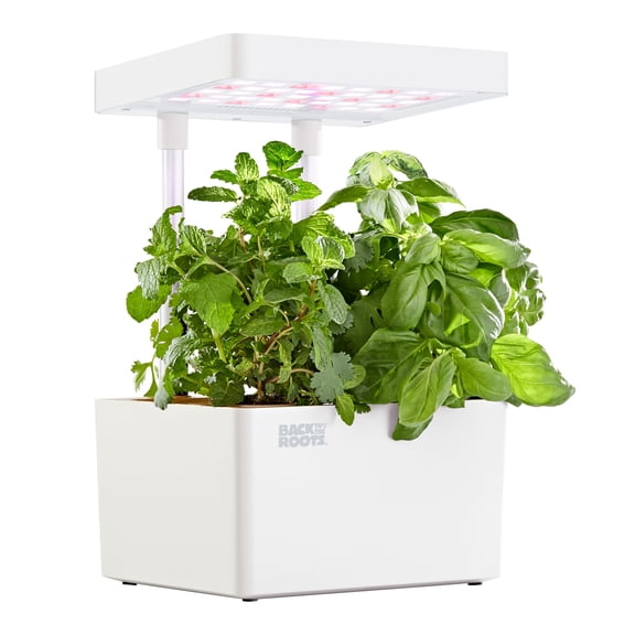 Back to the Roots Hydroponic Grow Kit Indoor Garden with LED Light and Organic Seeds Matte White Small/Medium