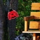 thumbnail image 3 of Escultura de pared colgante de metal con diseño de mariquitas para jardín, 10 x 8 x 5 cm Rojo, 3 of 8