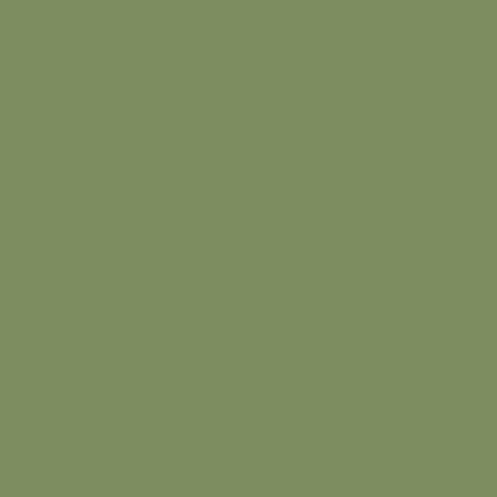 Glidden Glidden Kitchen Bath and Laundry Moss Point Green / Green, Eggshell Interior Paint with Primer, 1 Gallon