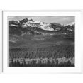 thumbnail image 2 of Art.com View Of Trees And Snow-Capped Mts Long's Peak From Road Rocky Mountain NP Colorado 1933-1942 Art Print by Ansel Adams, White Frame Wall Art, 29" x 23", 2 of 5
