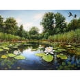 thumbnail image 3 of Cernov, Ivan 18x15 Black Modern Framed Museum Art Print Titled - Watterlilly near Dnepropetrovsk, 3 of 5
