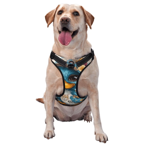 Balery Cute Sunflower Blue Duck Arnés para Perros Grandes Antitirones, Arnés con Correa para Gato, Arnés Tipo Chaleco para Perros Pequeños-Medium