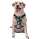 thumbnail image 1 of Balery Cute Sunflower Blue Duck Arnés para Perros Grandes Antitirones, Arnés con Correa para Gato, Arnés Tipo Chaleco para Perros Pequeños-Medium, 1 of 6