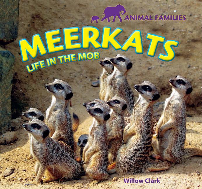 Animal Families: Meerkats : Life in the Mob (Hardcover) 