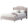 thumbnail image 3 of Glory Furniture Joy Velvet Upholstered Queen Bed in Beige, 3 of 3