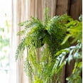 thumbnail image 6 of Artificial Fern Hanging Ball Decoration, 6 of 6