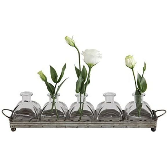 Creative Co-Op Decorative Iron Rectangle Tray with Handles & 5 Glass Vases (Set of 6 Pieces)