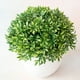 thumbnail image 1 of Plantas artificiales KGJQ - Plantas artificiales en maceta - Bonsái con forma de bola de hierba, verde, 1 of 5