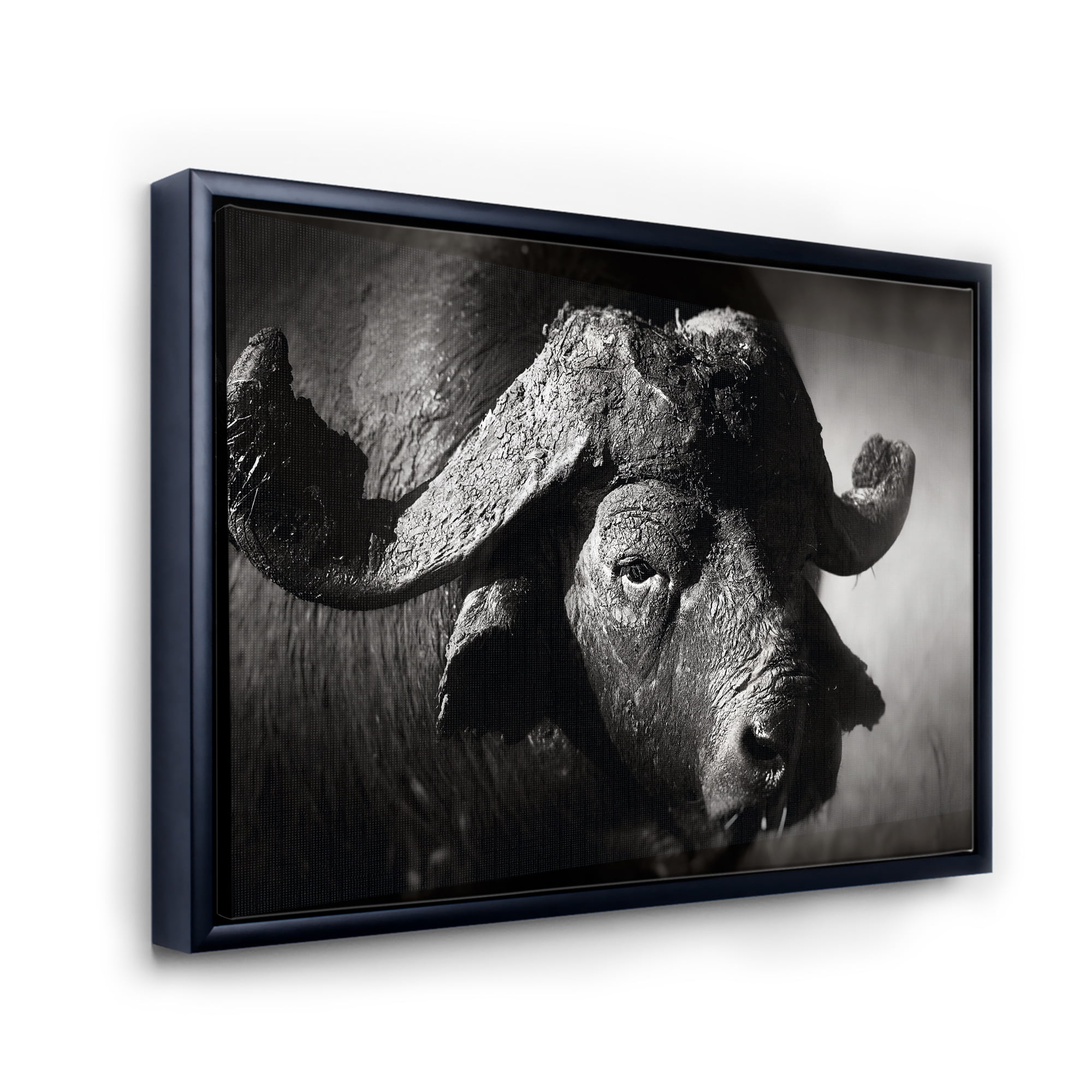 Designart 'Black and White Portrait Of Buffalo II' Farmhouse Framed Canvas Wall Art Print