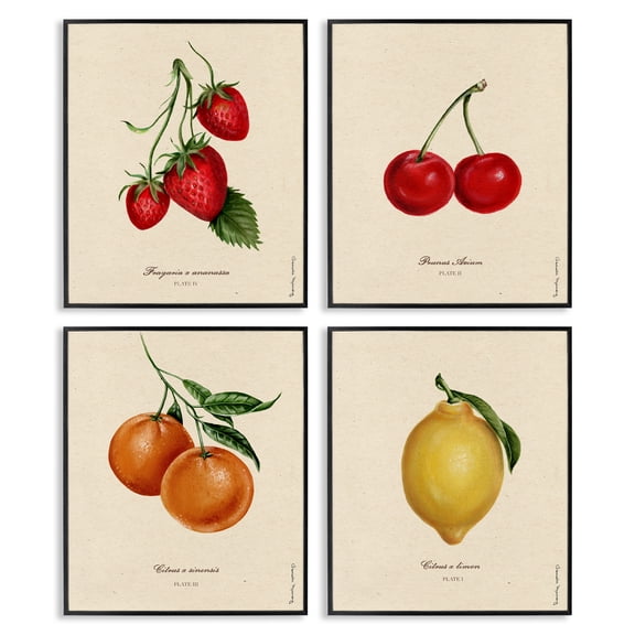 Stupell Industries Vintage Fruit Portraits 4 Piece Black Framed Giclee Art Set, design by Danielle Murray
