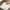 A-White, variant on dajkiuy Clearance Shelf Liner Non-Slip Shelf Liners For Kitchen Cabinets Cabinet Liner EVA Washable Refrigerator Drawers Mat For Shelves Pantry 12x60in