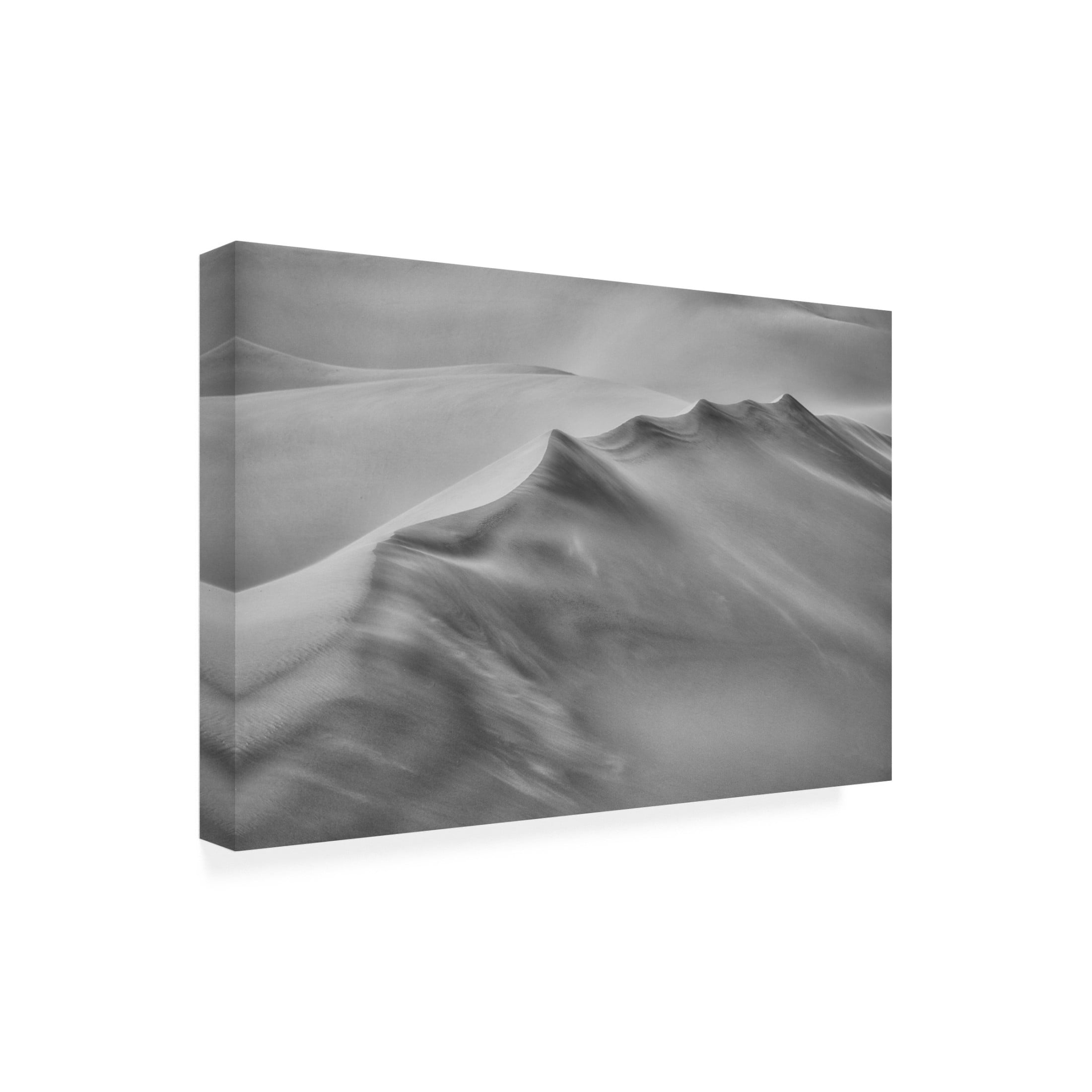 Trademark Fine Art Michael Zheng Blowing Sand Canvas Wall Art