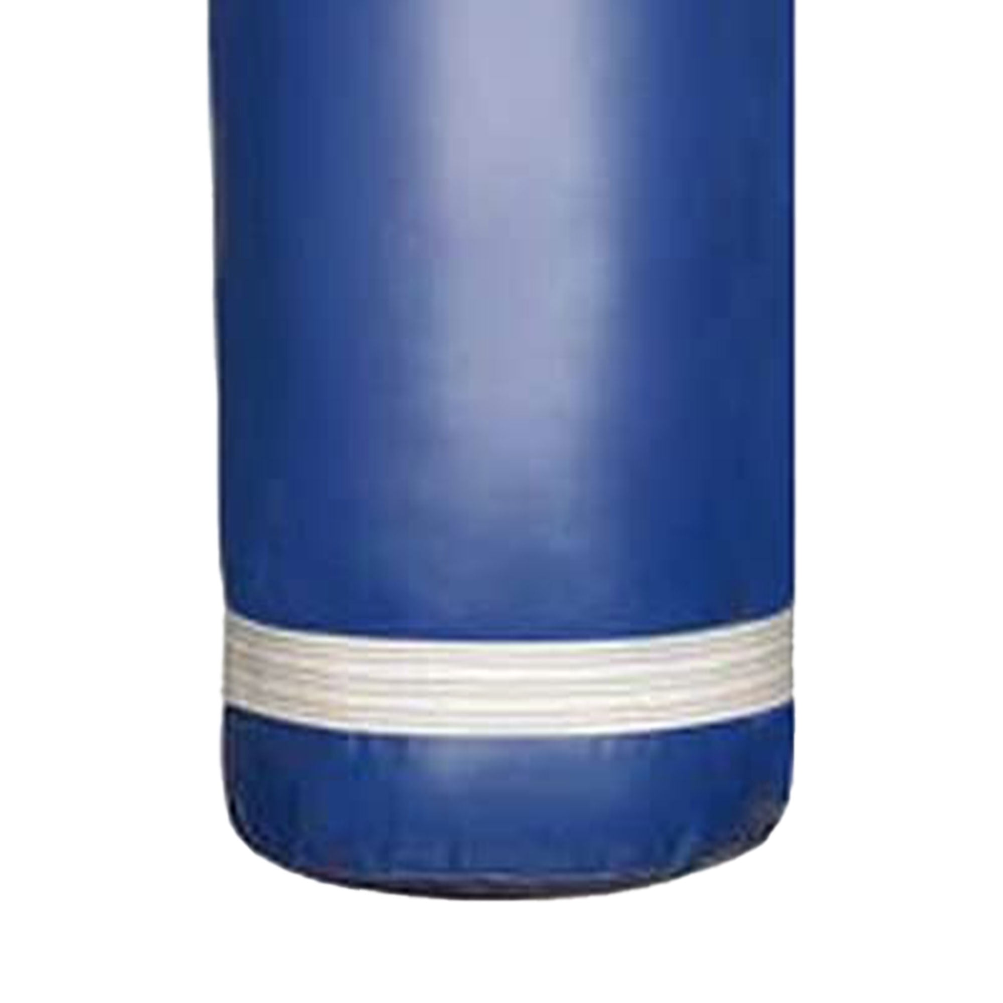 PROLAST 80 Lb Boxing MMA Training Filled Heavy Hanging Punching Bag, Blue