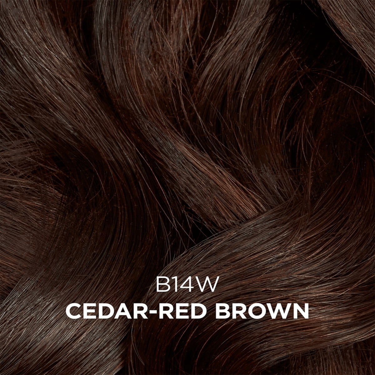 Clairol Beautiful Collection #B14W Cedar-Red Brown 3oz (Pack of 6)