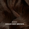 thumbnail image 2 of Clairol Beautiful Collection #B14W Cedar-Red Brown 3oz (Pack of 6), 2 of 2