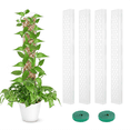 thumbnail image 3 of 4 Packs Plastic Moss Pole for Plants Monstera, Stackable Plant Support for Indoor Climbing Plants, Clear Plant Poles, 3 of 8