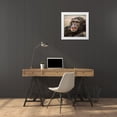 thumbnail image 3 of Fitzharris, Tim 12x12 White Modern Wood Framed Museum Art Print Titled - Chimpanzee, 3 of 4