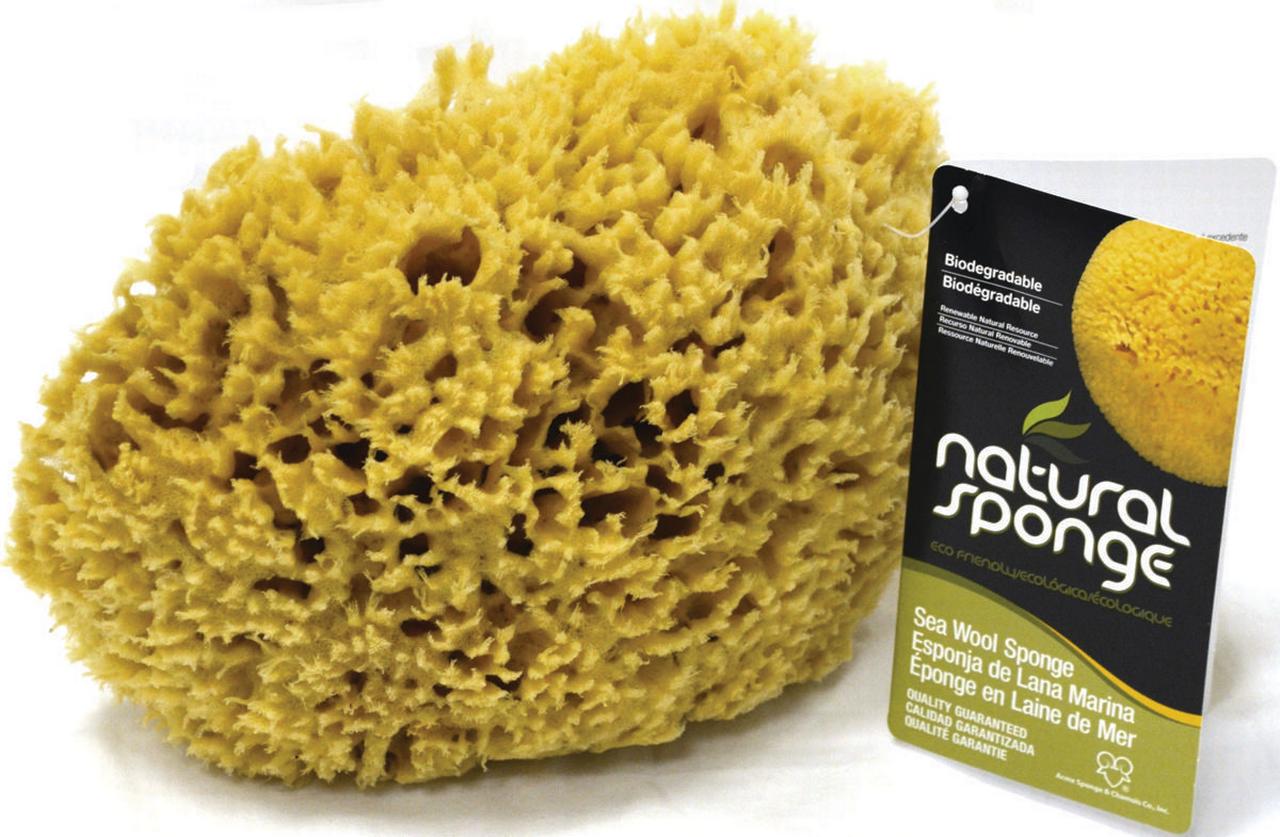 Acme Sponge & Chamois SW16070C Seawool Sponge 6 7 In.1 Cut