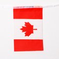 thumbnail image 3 of Bandera de Canadá Bandera de La Secuencia de para La Decoración Del Partido Del Deporte Del Cumpleaños Los 5M SM SunniMix Banderas de cadena de la nación de Canadá, 3 of 8