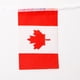 thumbnail image 3 of Bandera de Canadá Bandera de La Secuencia de para La Decoración Del Partido Del Deporte Del Cumpleaños Los 5M Sunnimix Banderas de cadena de la nación de Canadá, 3 of 8