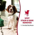 thumbnail image 2 of Quitamanchas y olores Nature's Miracle Dog Safe para mascotas, 2 of 9