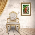 thumbnail image 3 of Engelbrecht, Lisa S. 23x32 Gold Ornate Wood Framed with Double Matting Museum Art Print Titled - Heliconia, 3 of 4